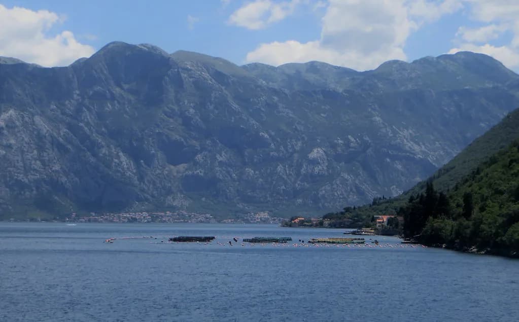 Donja Lastva: Tivat's Waterfront Village and Seafront Walk