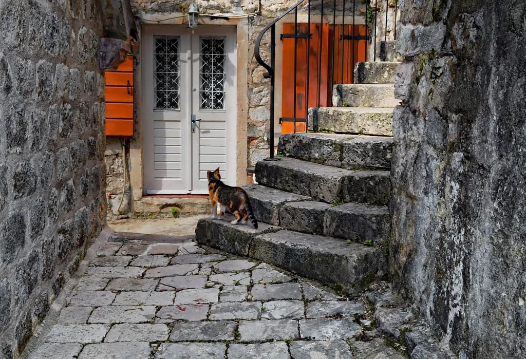 Free Things to Do in Kotor: 12 No-Cost Sights in the Old Town and Bay