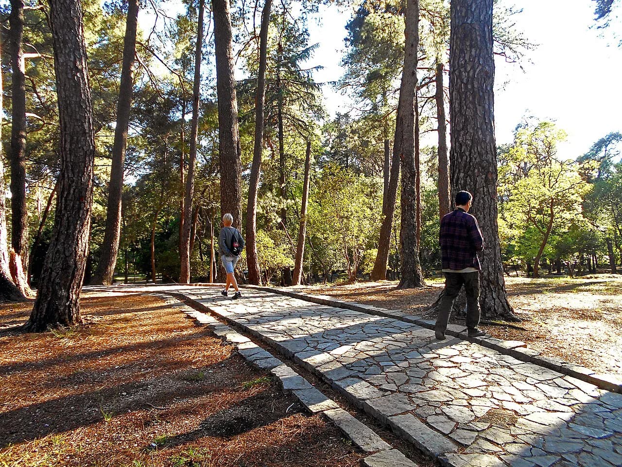 Free Things to Do in Tivat: Marinas, Parks and Villages
