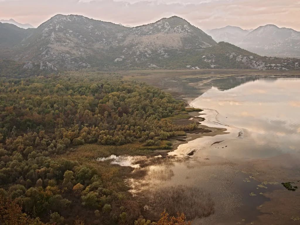 Lake Skadar Boat Trips: Routes, Timings and What You'll See