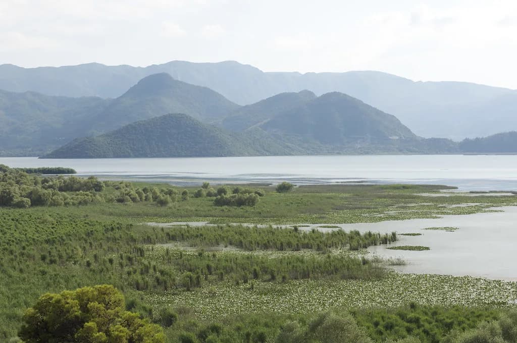Lake Skadar National Park Visitor Centre: A Practical Guide