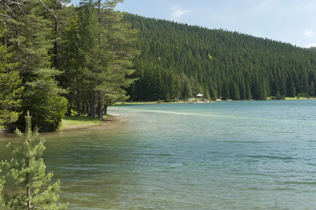 Montenegro Lakes: Skadar, Black Lake, Biogradsko and Where to Go
