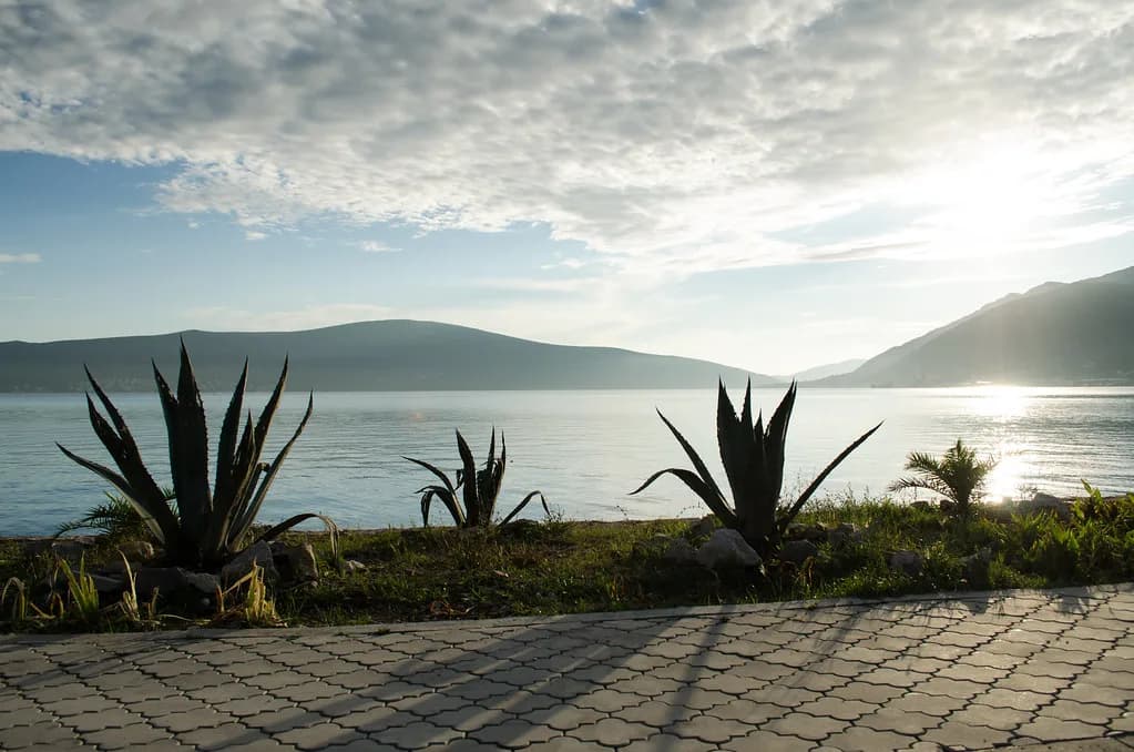 Tivat Tours: Boat Trips, Day Trips and Guided Options