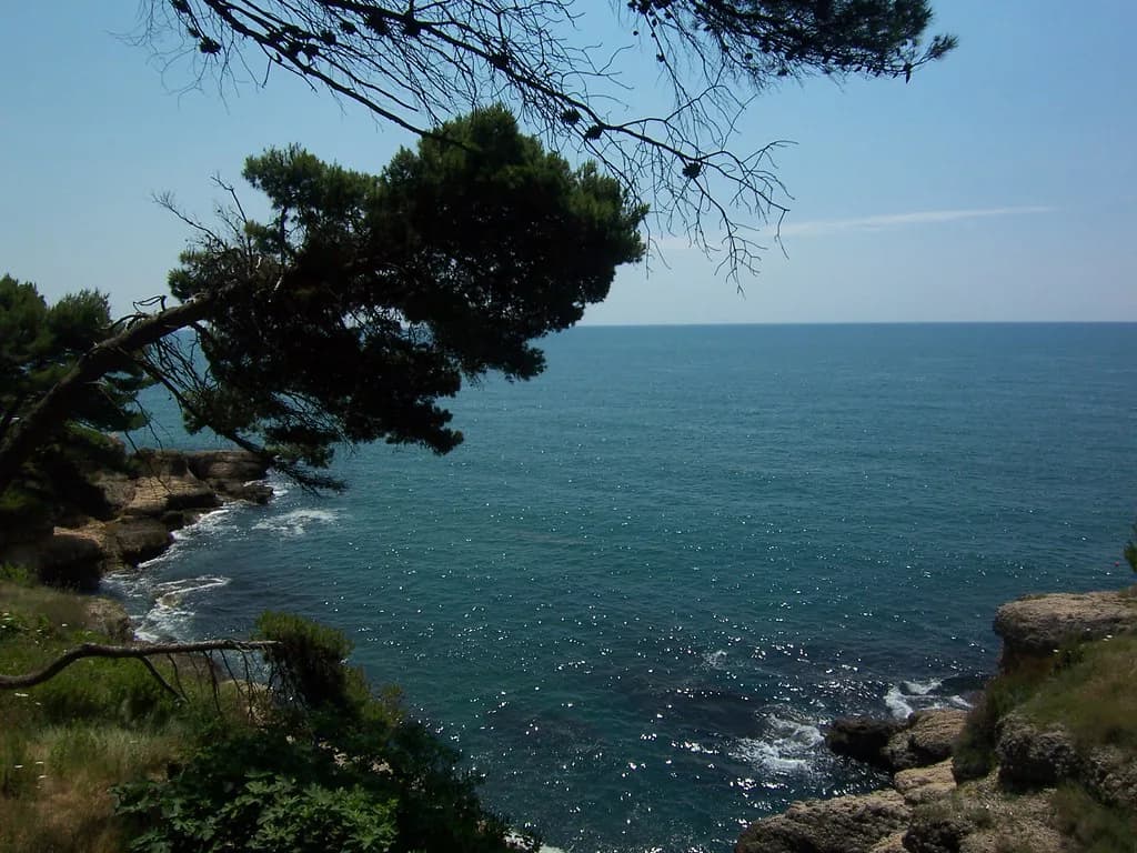 Valdanos, Ulcinj: the Olive-Grove Bay and Its Pebble Beach