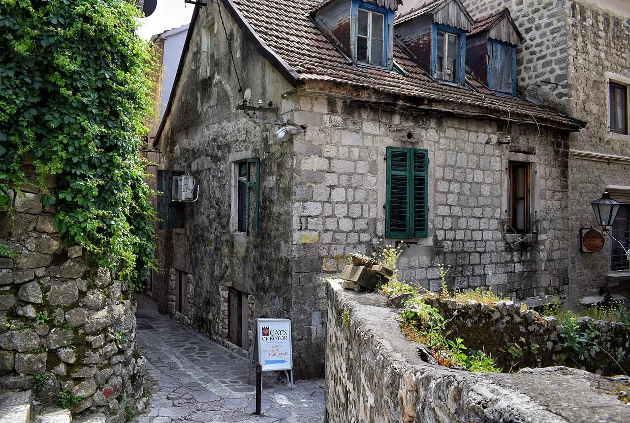 Cats Museum Kotor: What's Inside and How Long to Allow