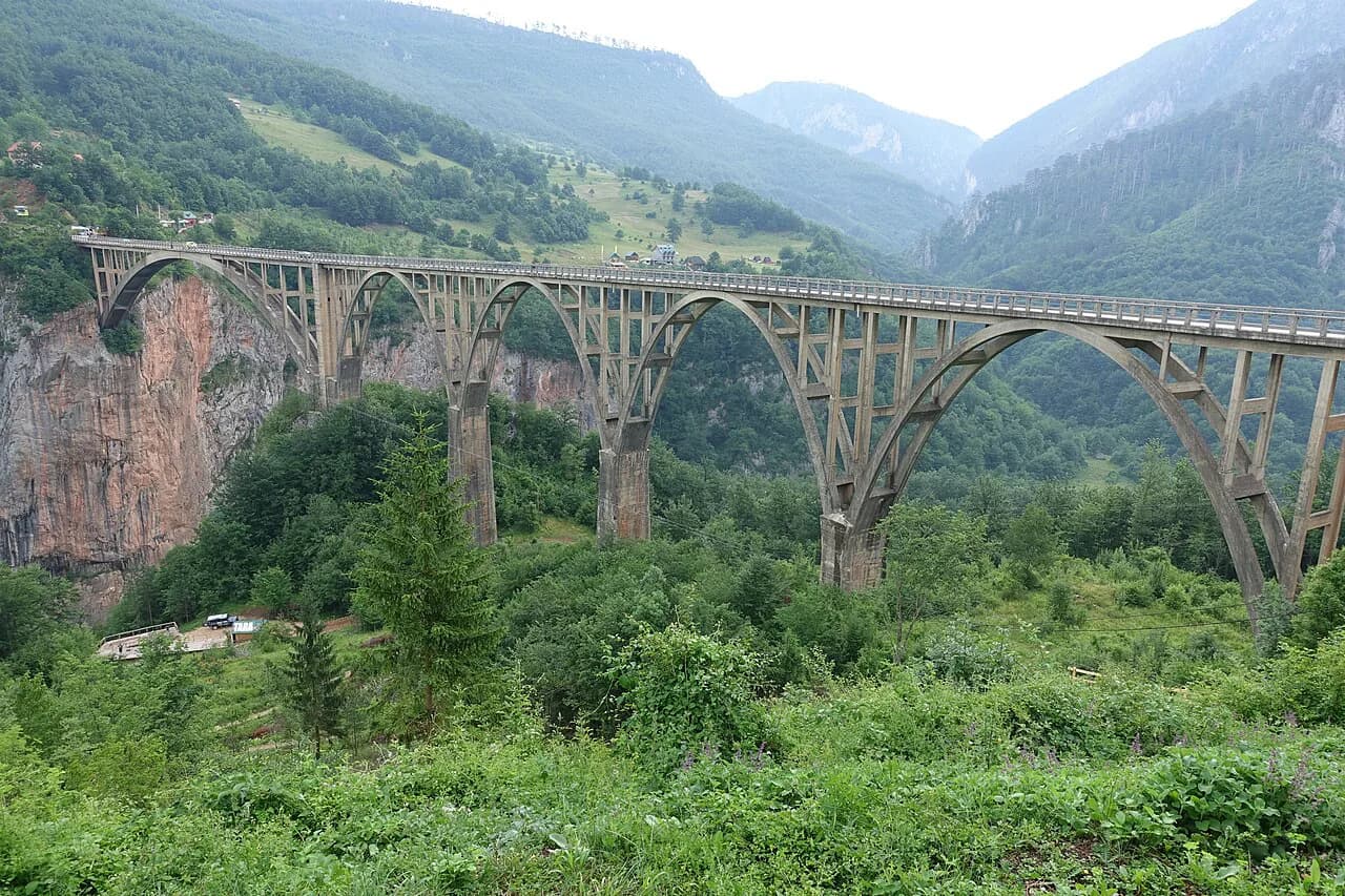 Montenegro Ziplines: Tara Canyon Options, Prices and How to Book