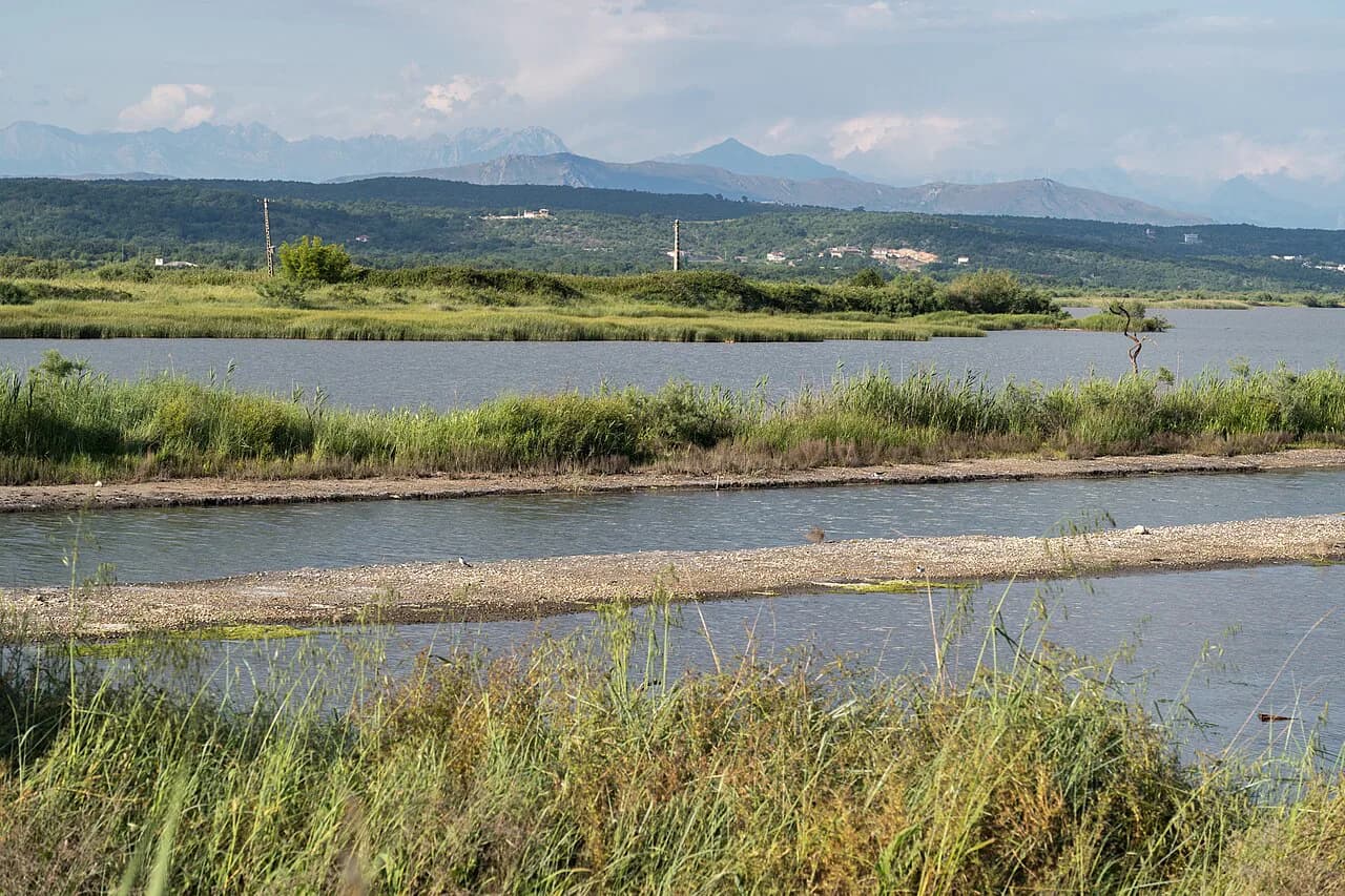 Ulcinj Salina: Visiting Montenegro's Salt Pans for Birds