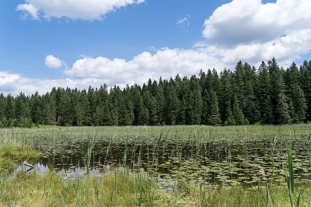 Barno Jezero in Durmitor National Park.