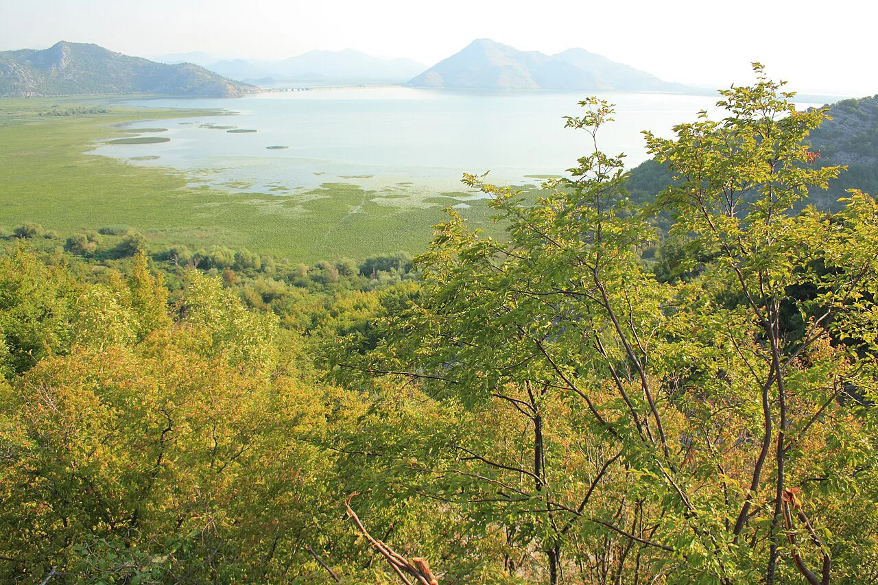 Marshland and mountains in Lake Skadar National Park.