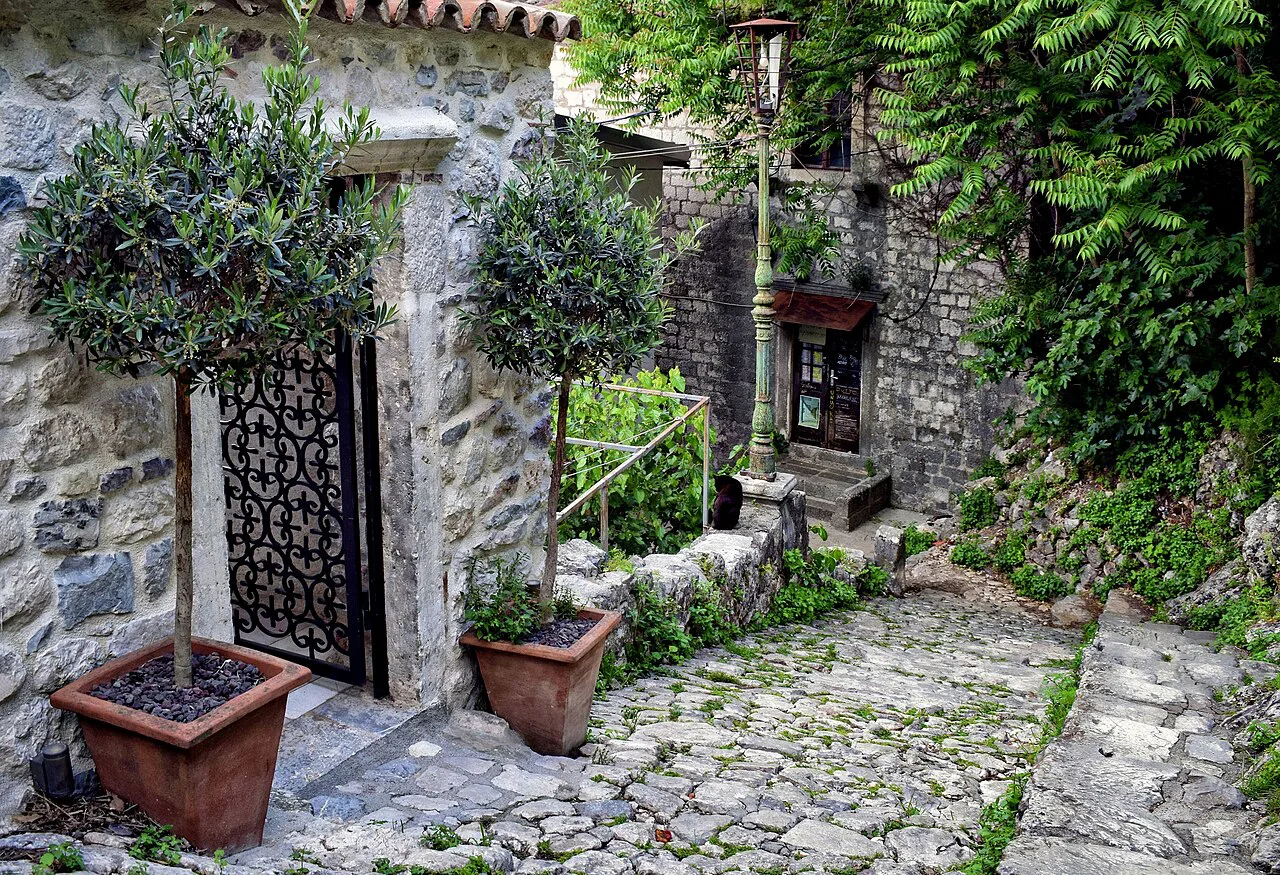 A quiet stone lane with potted olive trees in Kotor Old Town.