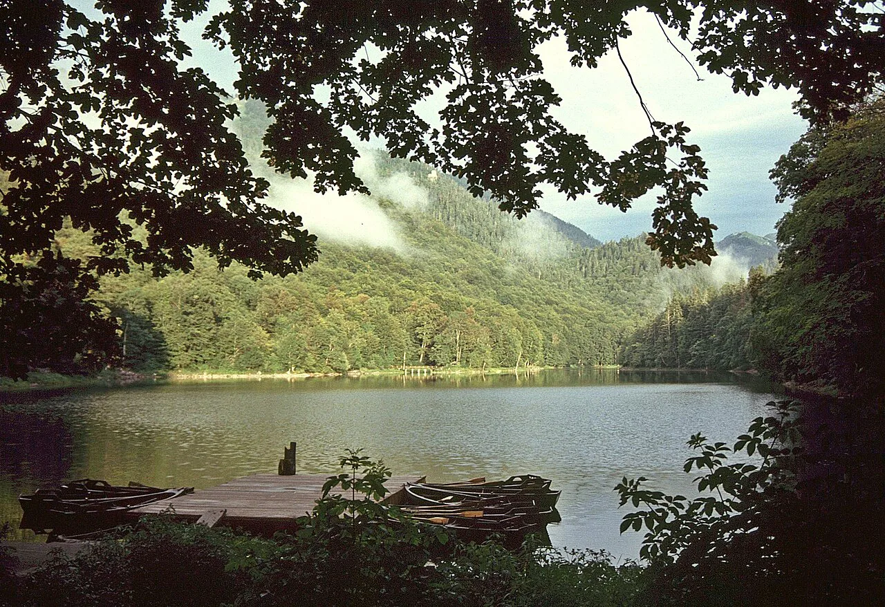 Biogradsko Lake surrounded by forested hills.