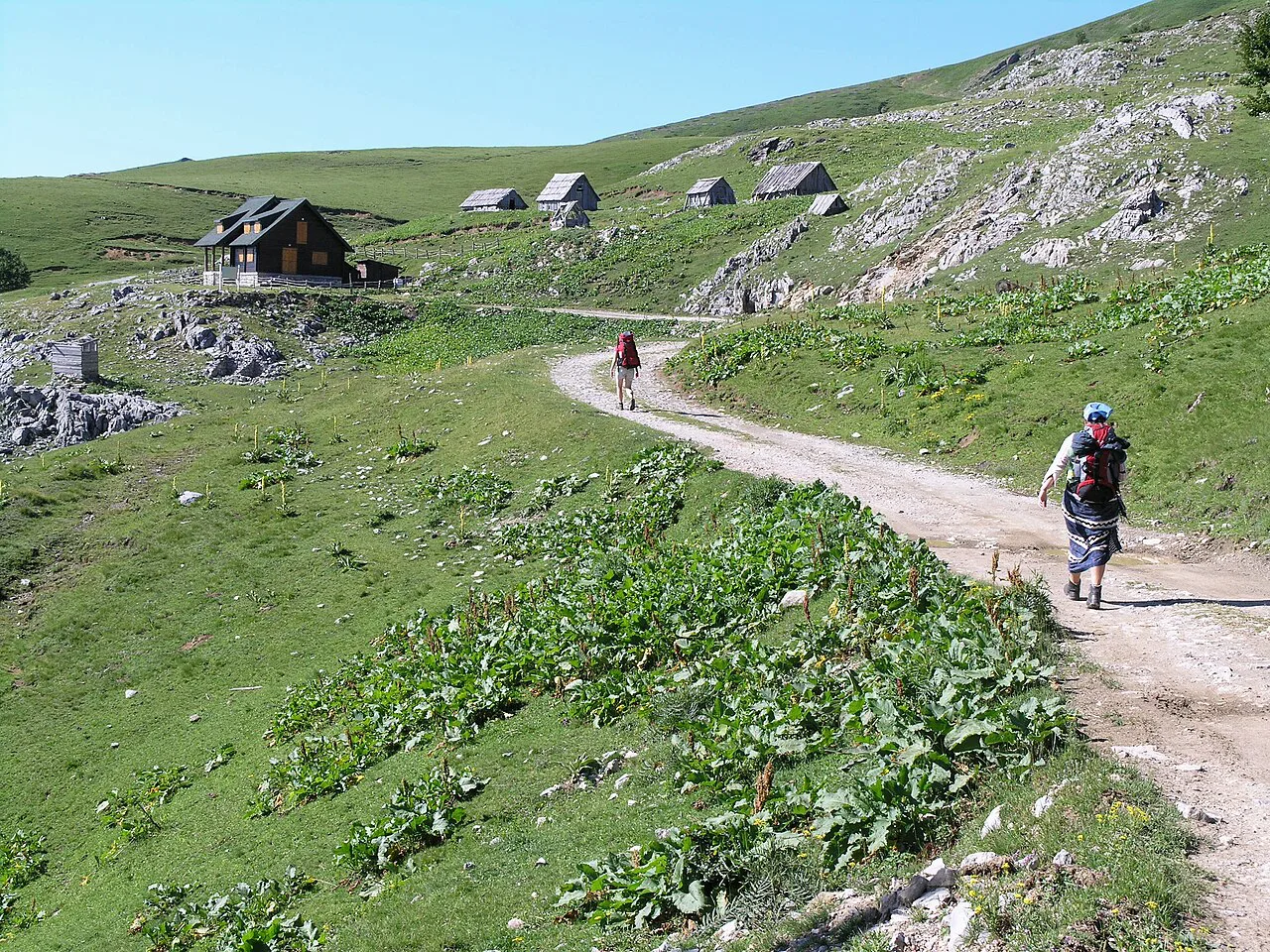 Walkers on a track past shepherds' huts on Bjelasica.