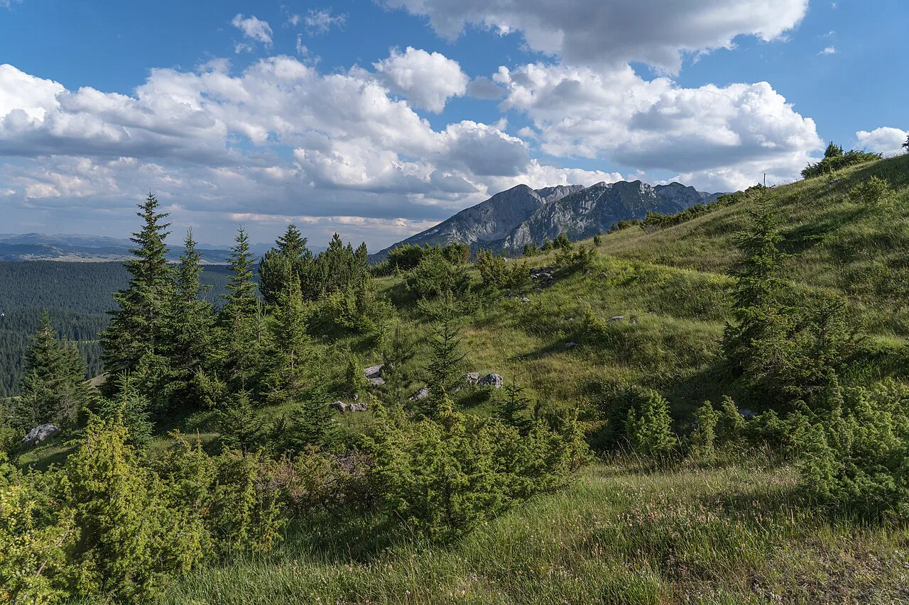Mountain meadows in Durmitor National Park, the park that is home to Black Lake.