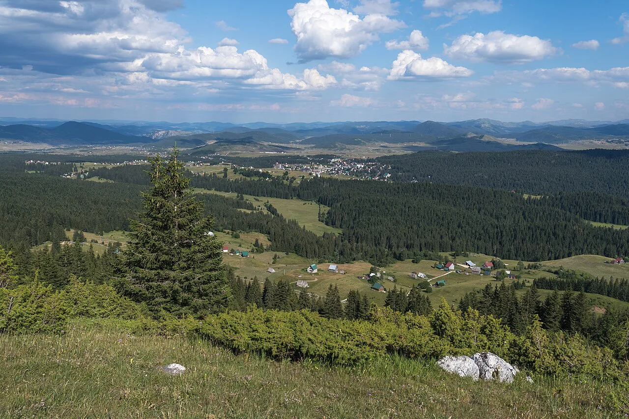 The forested plateau of Durmitor National Park, around Black Lake.
