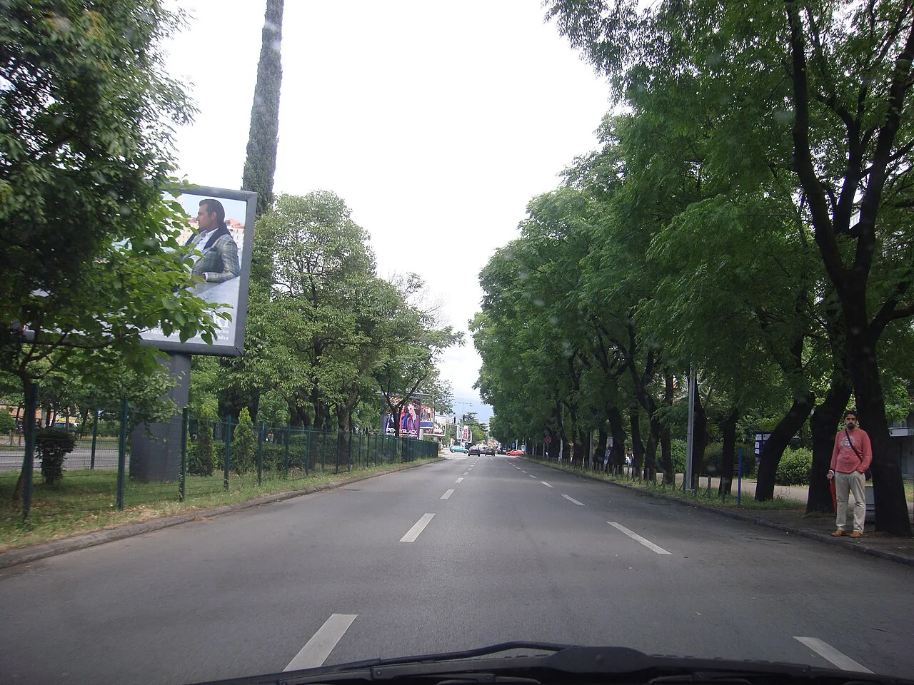 A tree-lined boulevard in Podgorica's Novi Grad district.