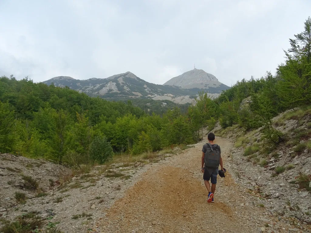 A trail in Lovćen National Park descending towards Ivanova Korita.