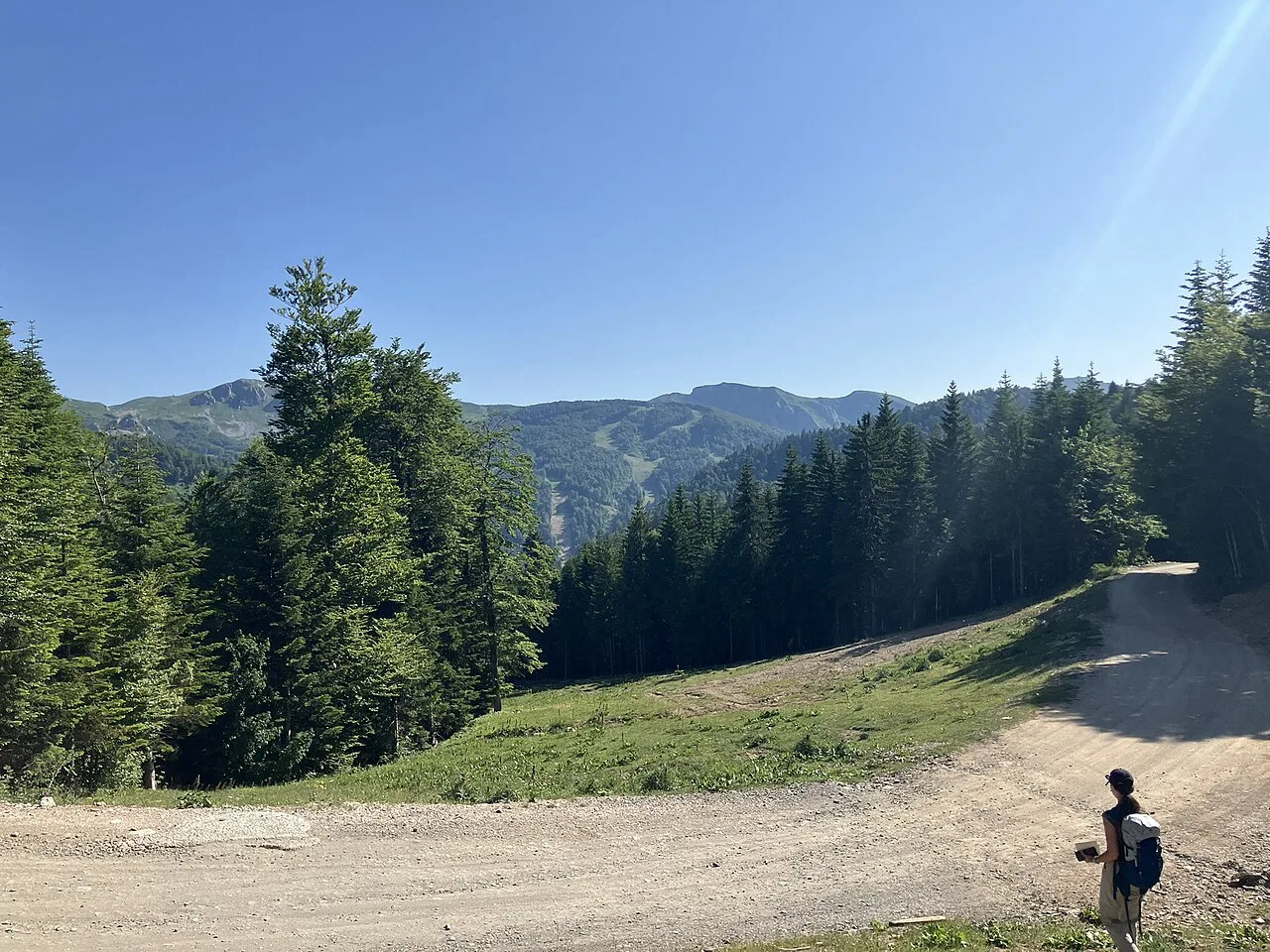 Forest and mountain scenery near Kolašin.