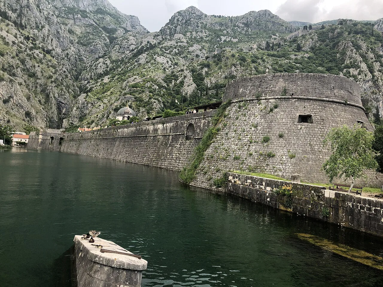 Kotor's town walls rising above the Škurda river moat.