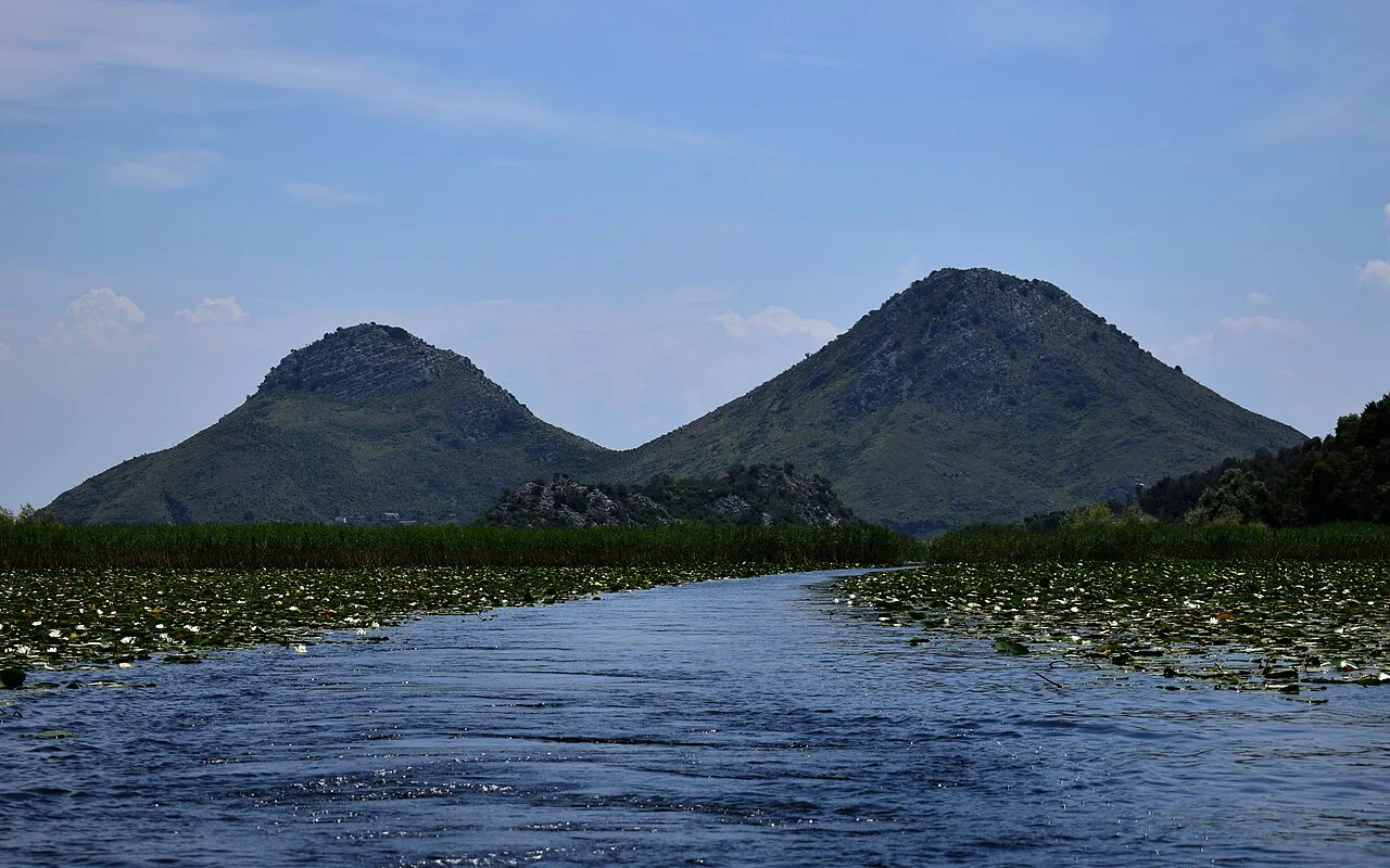 Water lilies and twin hills on Lake Skadar.