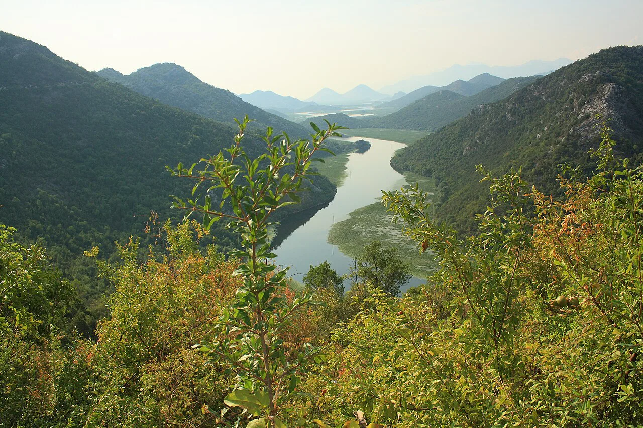 A river winding through wooded hills in Lake Skadar National Park.