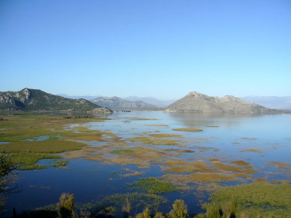 Lily-covered waters and hills on Lake Skadar.