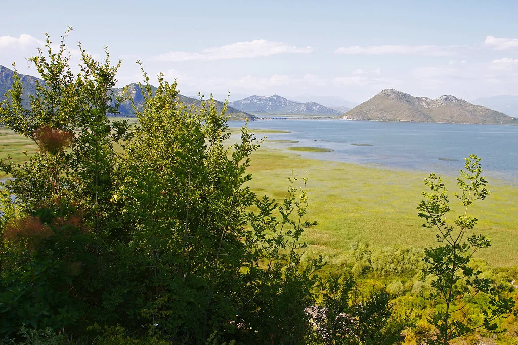 Marshland and hills around Lake Skadar.