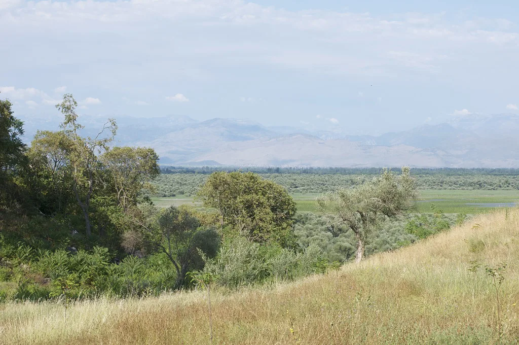 Grassy shore overlooking Lake Skadar.