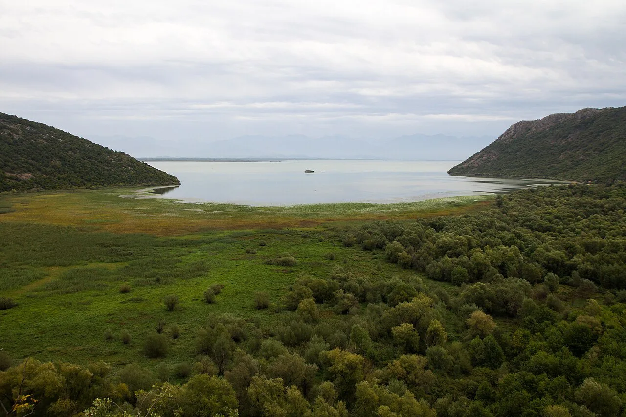 Lake Skadar's reed beds and wetlands between the hills.