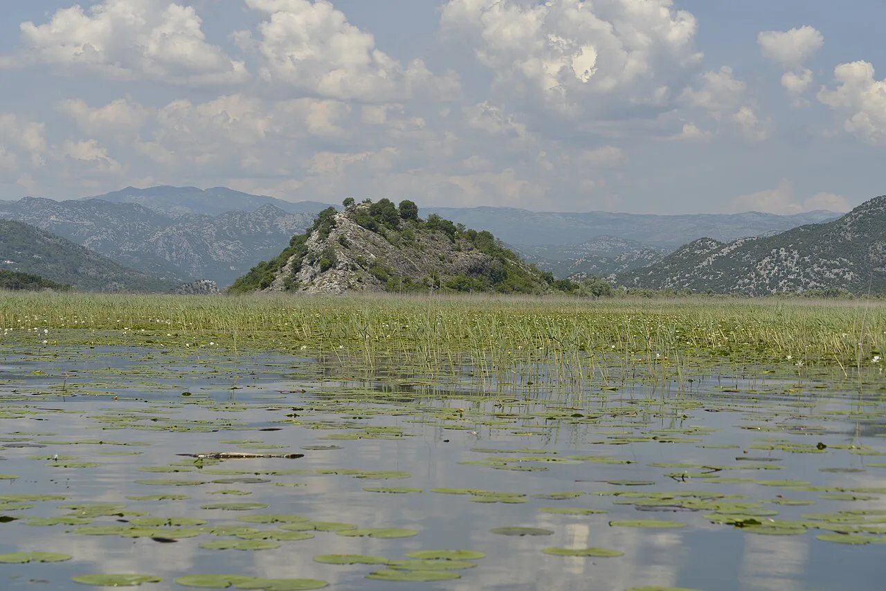 A hill rising above the lily-covered waters of Lake Skadar.