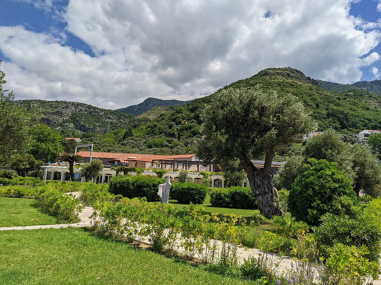 Lawns and olive trees in Milocer Park near Sveti Stefan.