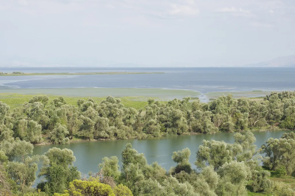Wooded shallows on Lake Skadar.