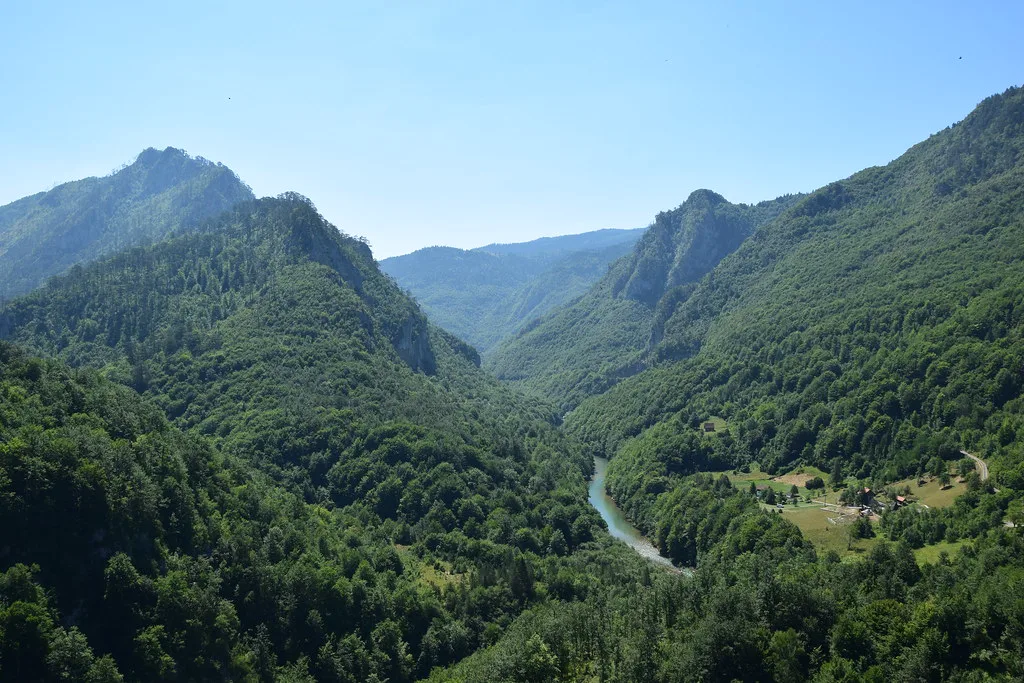 Forested slopes of the Tara River Canyon.
