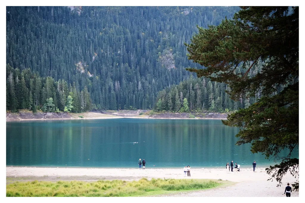 Black Lake near Žabljak, ringed by pine forest.