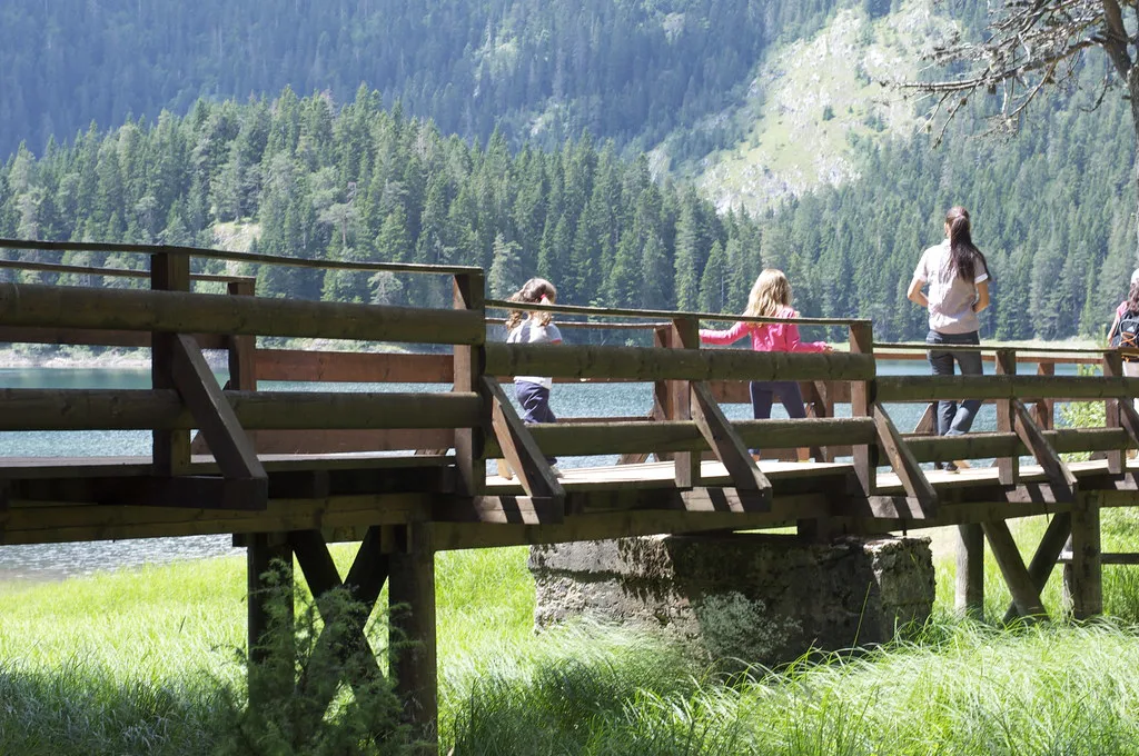 A wooden footbridge at Black Lake in Durmitor.