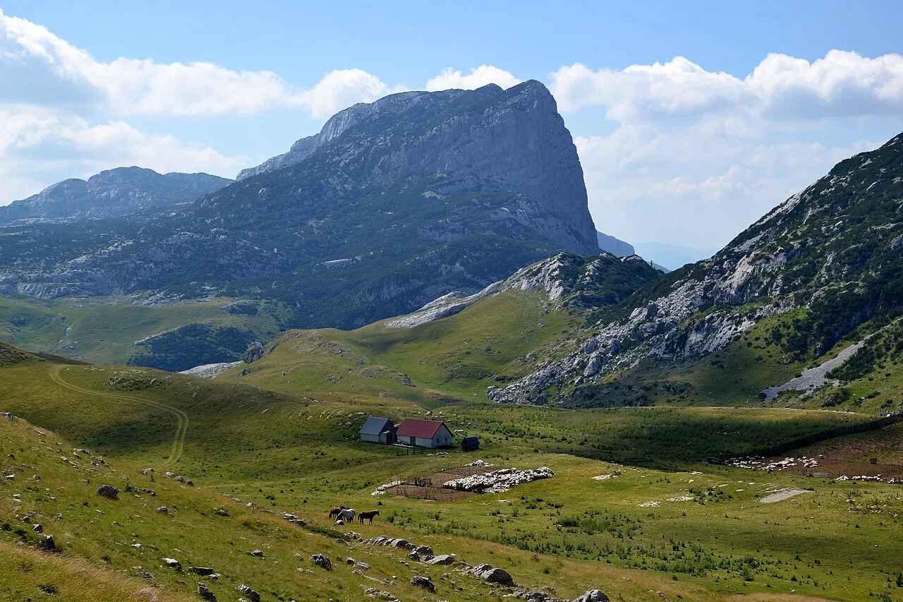 Mountain pasture and peaks in the Durmitor massif.