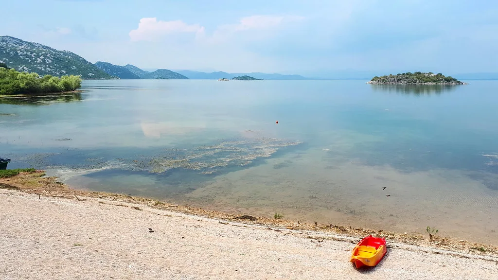 The shore of Lake Skadar with a small island offshore.