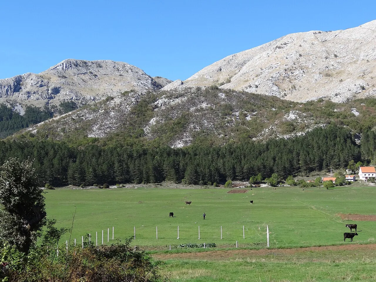 Pasture and mountains at Njeguši.
