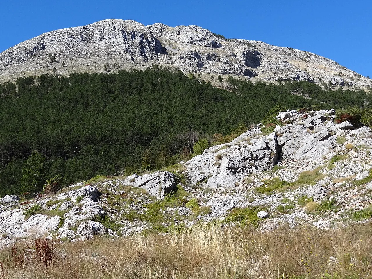 Karst mountain scenery near Njeguši.