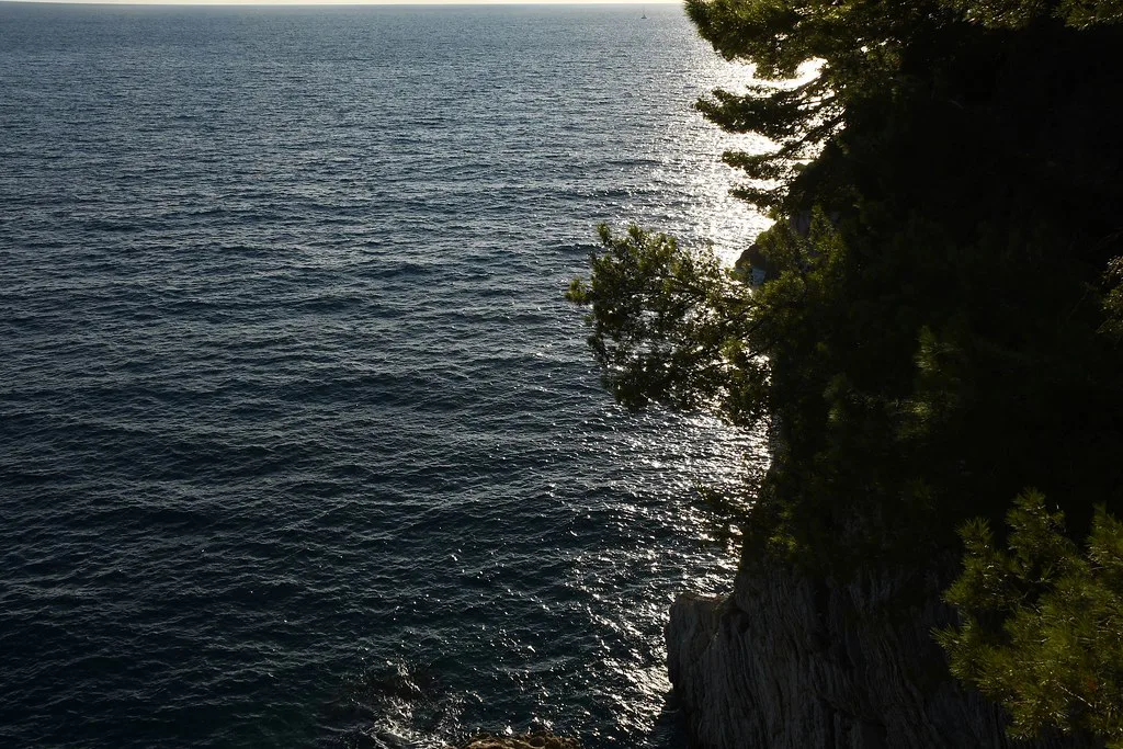 Rocky, wooded coastline and open sea at Petrovac.