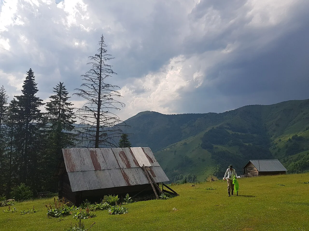 A wooden hut in a mountain meadow near Plav.
