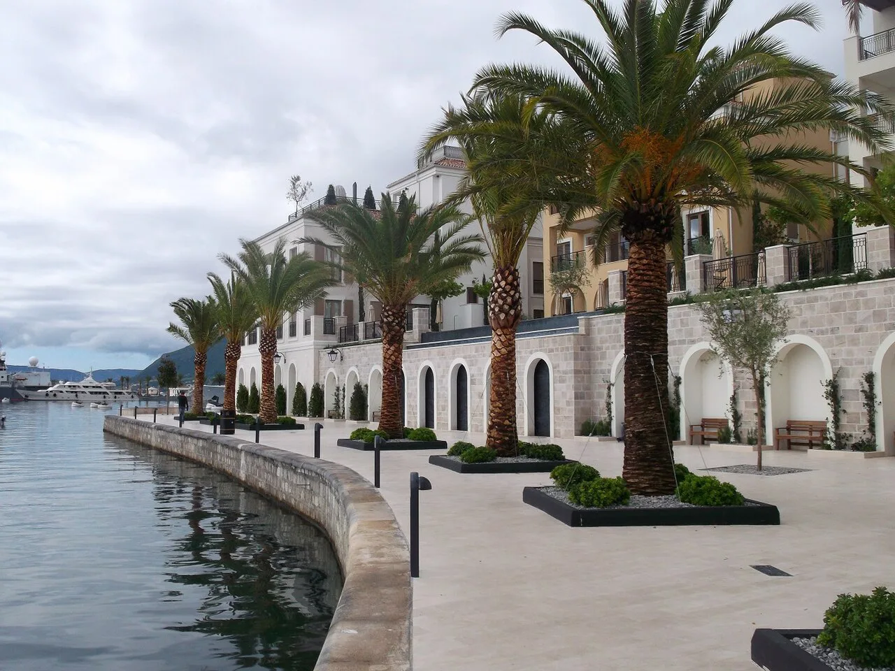 The palm-lined waterfront promenade at Porto Montenegro, Tivat.