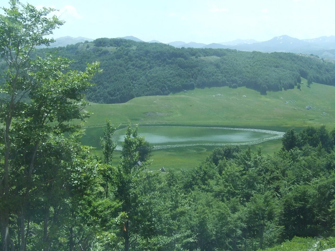 Riblje Jezero (Fish Lake) among forest and meadows near Žabljak.