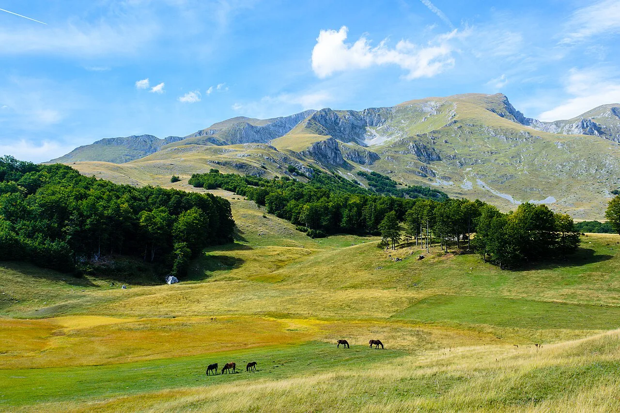 Mountain meadows and peaks near Žabljak.