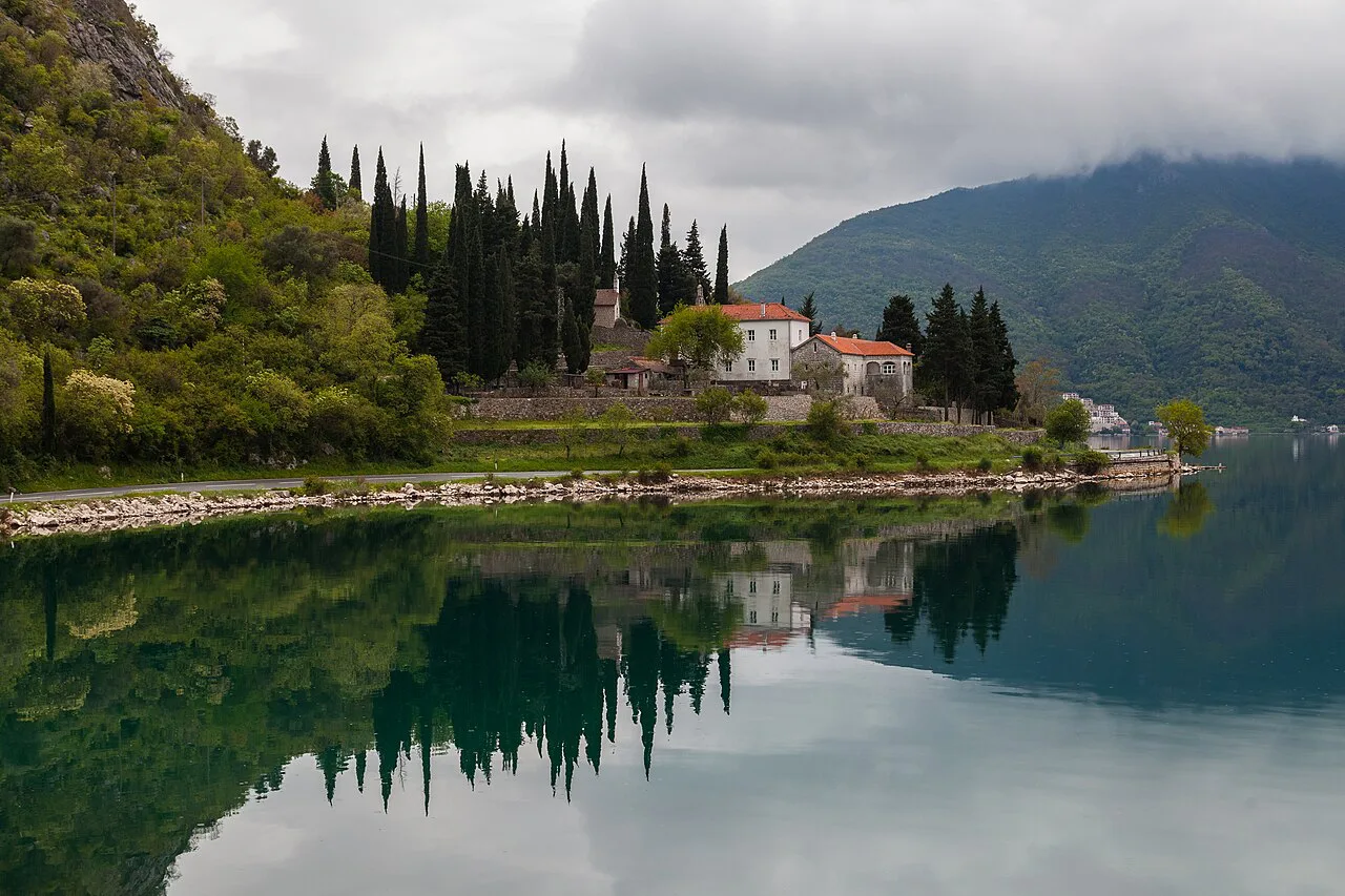 Calm water and cypresses on the shore at Risan.