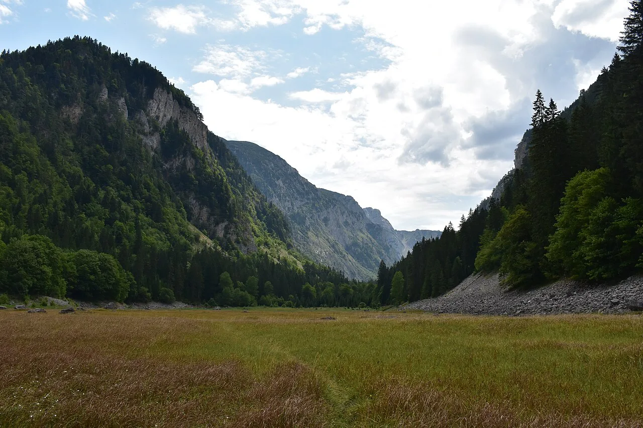 Meadow and cliffs in Sušica Canyon, Durmitor.