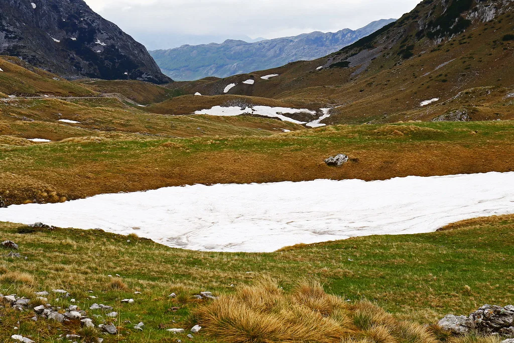 Upland pasture in Durmitor National Park near Žabljak, the area around the Sušica canyon.