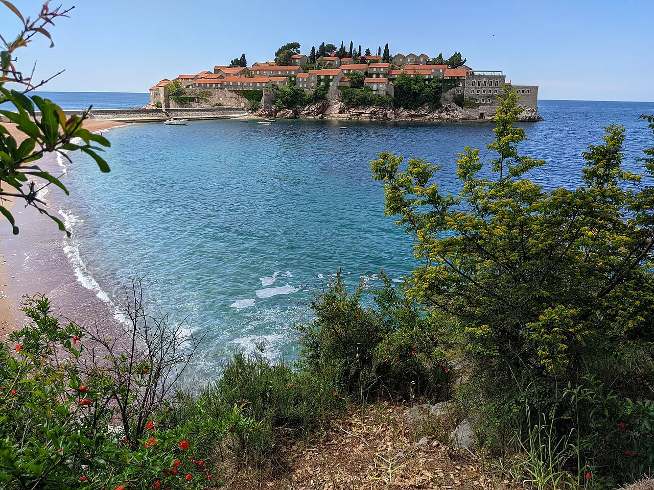 Sveti Stefan island and its causeway seen from the wooded hillside.
