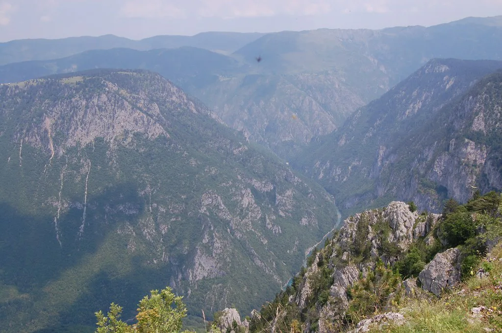 Forested walls of the Tara River Canyon.