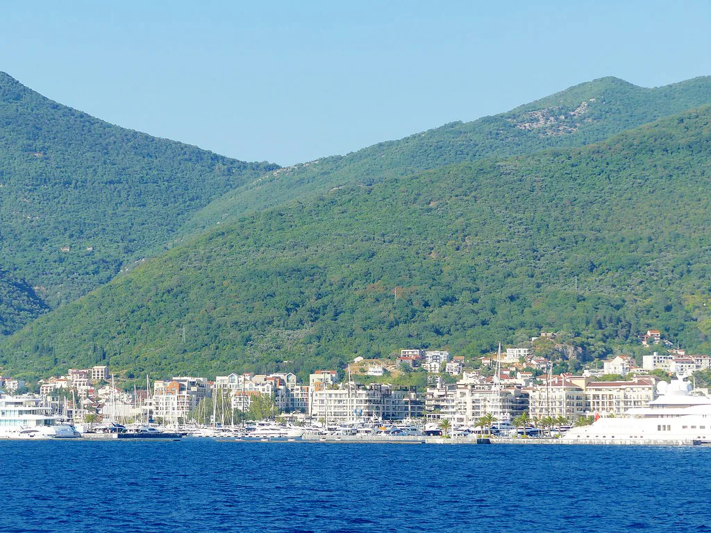 Tivat's waterfront below green hills.