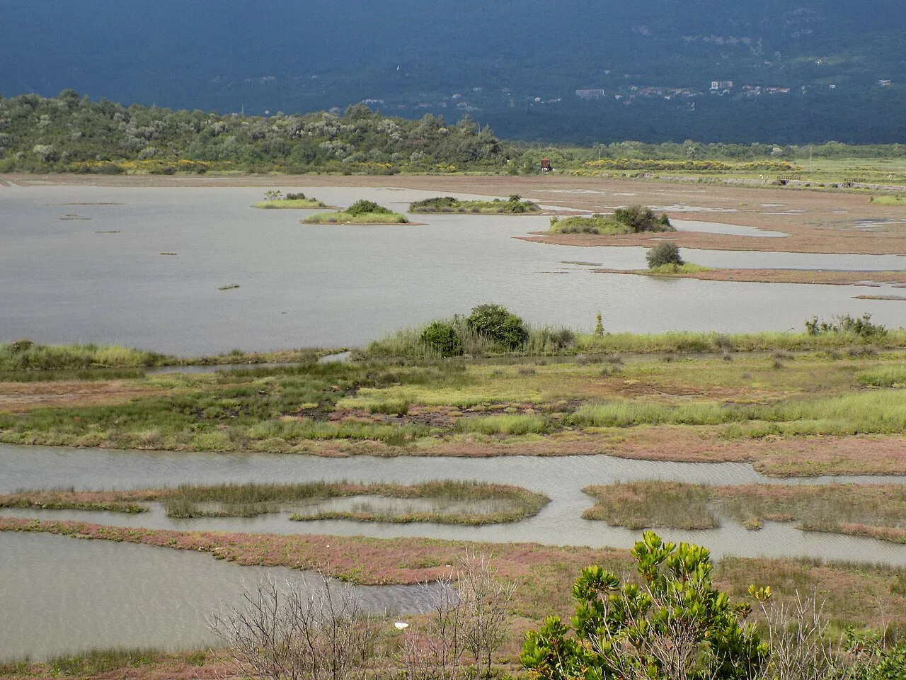 Salt pans and wetland at the Solila Special Nature Reserve near Tivat.